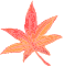 maple