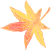 maple